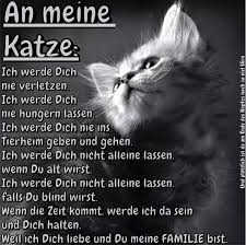 Ich Schwor S Geliebte Katze Spruche Katze Katzen Zitate