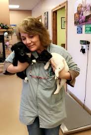 Check poison symptoms, diagnosis & treatments. Meet Our Doctor Gillette Pet Vet Clinic