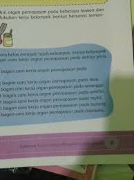 Tolong Ya Bagan Orgah Penarnafasan Brainly Co Id