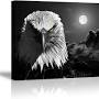Eagle Painting from www.amazon.com
