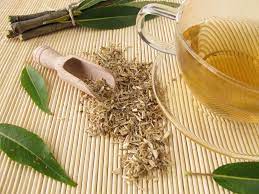 Its decoction has been used for a long time for treating bilious, remittent and intermittent fevers. Miracle Tree 6 Health Benefits Of Willow Bark To Get You Chomping At The Bit