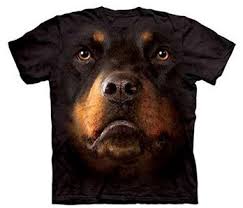 En Iyi Firsatlar Rottweiler Yavrulari Rottweiler Sevimli Kopekler