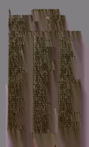 Image result for Centemopsis longipedunculata