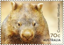 Common Wombat Vombatus Ursinus Postage Stamp Art Stamp Animals