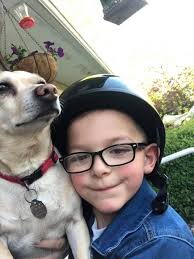 Lost dog found near Rushmore Elementary School