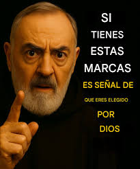 Checo, me gustaría saber tu opinión sobre esta historia🌺