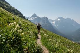 Check spelling or type a new query. Glacier National Park Backpacking Guide Cleverhiker