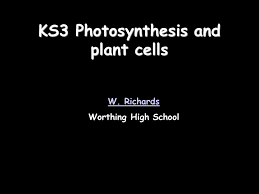Filled with cell sap to help keep the cell turgid. Ks3 Photosynthesis And Plant Cells W Richards Worthing High School Ppt Download