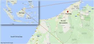 Последние твиты от google maps (@googlemaps). A Comparative Account Of The Traditional Healing Practices Of Healers And Non Healers In The Kiudang Area Of Brunei Darussalam Sciencedirect