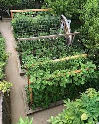 Gardening Is All About Learning As You Go And Grow It Can Be Overwhelming To Start And Discouraging When Plants Modern Garden Vegetable Garden Design Plants
