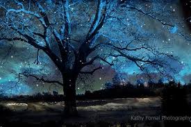 You can also upload and share your favorite surreal backgrounds. Pin On Derevya