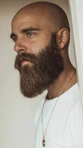 Beard Conditioner For Men Top 13 Review The Finest Feed Long Beard Styles Bald With Beard Beard Styles