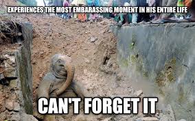 If you thought you couldn't possible love dogs anymore, this might prove you wrong. The 20 Funniest Animal Memes