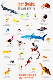 Wildlife Conservation Wildlife Conservation In India Species