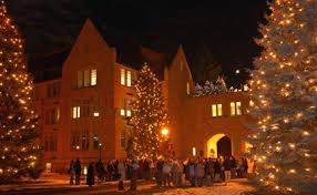 The Tree Lighting Ceremony Tree Lighting Outdoor Tree