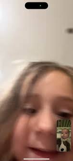 Injured wild horse needs antibiotics in northern Nevada