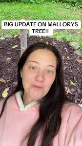 Incidents in Archers Creek Bridge Mallory