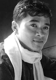 Molecular Mechanisms of Zebrafish Sex Differentiation and Sexual Behavior