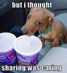 Sharing is caring cats eating ice cream meme generator. Sharing Is Caring Quotes Quotesgram