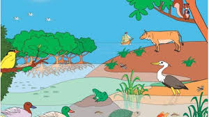 Maybe you would like to learn more about one of these? Kunci Jawaban Tema 5 Kelas 5 Halaman 133 134 136 137 Pembelajaran 5 Keseimbangan Ekosistem Tribun Padang