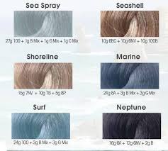 Lanza Color Concepts Sbiroregon Org