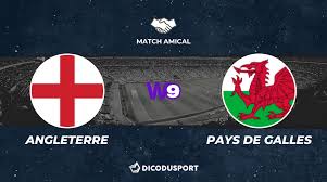 Analyse, cotes et prono du match des éliminatoires. Football Match Amical Notre Pronostic Pour Angleterre Pays De Galles Dicodusport