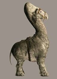 Pin By Iago Mendez On Star Wars Star Wars Canon Fantasy Creatures Mythical Creatures