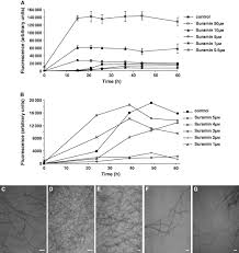 In acest video am pierdut in jur de 80000 lei la ruleta , castigurile avute pe ruleta in perioada de dinaintea acestei zi au fost cu multe peste. The Minimal Amyloid Forming Fragment Of The Islet Amyloid Polypeptide Is A Glycolipid Binding Domain Levy 2006 The Febs Journal Wiley Online Library