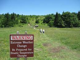 Detailed weather forecast in highlands, texas today, tomorrow and 7 days. Rhododendron Trail Picture Of Grayson Highlands State Park Mouth Of Wilson Tripadvisor
