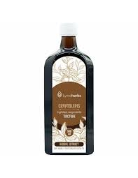 Image result for Cryptolepis