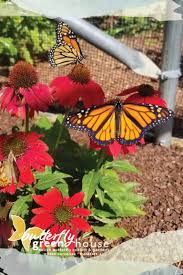 This 1984 square foot single family home has 3 bedrooms and 2.0 bathrooms. Kentucky S Largest Butterfly Greenhouse Visit Frankfort Official Travel Guide For Frankfort Kentucky