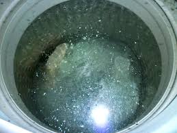 Run the rinse cycle for the desired minutes, rated spinner dryer capacity: How To Wash Clothes In A Samsung Washer Funny About Money