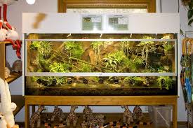 Paludarium Fur Feuersalamander Und Unken Terrarien Terrarium Salamander