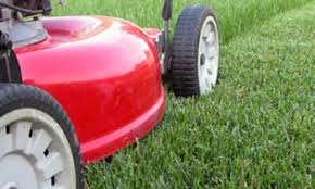 Get information, directions, products, services, phone numbers, and reviews on peterson lawn care in brandon, undefined discover more lawn and garden services companies in brandon on manta.com. Lawn Care Brandon Lawn Care Brandon Fl