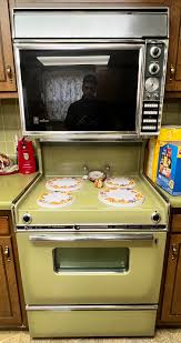 Image result for Light Coppertone 1983 Amana