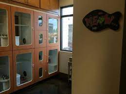 West madison veterinary hospital is one of the pet hospital of madison's top competitors. Virtual Tour The Pet Hospital Of Madison Madison Al