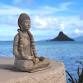 Meditation Afternoon - Introduction to Pranic event image