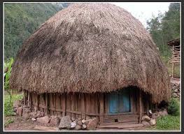 Maybe you would like to learn more about one of these? Rumah Honai Rumah Adat Papua Sejarah Negara Com