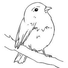 Download and print free printable bird coloring pages for kids to have fun. Top 20 Free Printable Bird Coloring Pages Online