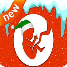 Will you try to make all the right choices in an attempt to become a model citizen sometime before you die? Bitlife 2019 Tips Apk 1 0 Download Apk Latest Version