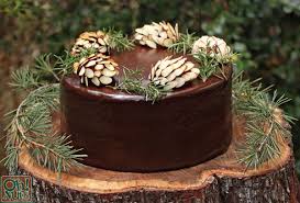 How To Make Chocolate Pine Cones Recipe Homemade Peppermint Patties Peppermint Patty Recipe Cake Decorating