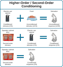 Classical Conditioning Introduction To Psychology