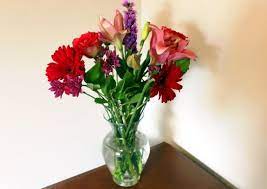 Is there a flower that represents or means father or man in some way? The Guy S Guide To Buying Flowers