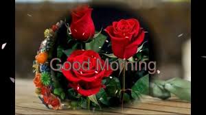 Good morning red rose cards for my love friends. Good Morning Beautiful Rose Flowers 1280x720 Wallpaper Teahub Io
