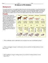 Evidence Of Evolution Biology Lessons Teaching Biology Biology Classroom