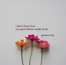 'the earth laughs in flowers.', brian jacques: 6 222 Likes 63 Comments Gemma Troy Poetry Gemmatroypoetry On Instagram Please Read I Don T Know How Flower Quotes Flower Quotes Life Poem Quotes