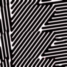 Bildergebnis für Turing pattern