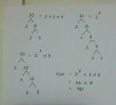 Ibu membeli 30 tangkai bunga mawar putih, 40 tangkai bunga. Kpk Dari 30 32 40 Pake Pohon Faktor Brainly Co Id
