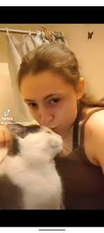 Lost cat in Crestwood Trailer park Lima Ohio