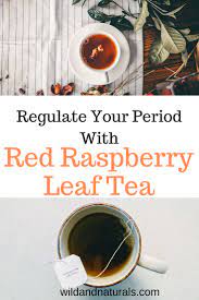 How To Regulate Periods With Raspberry Leaf Tea Wild And Naturals Raspberry Leaf Tea Raspberry Leaf Tea Benefits Nettle Tea Benefits